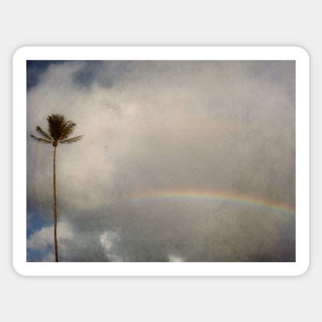 Palm Tree and Rainbow Sticker by rosedew